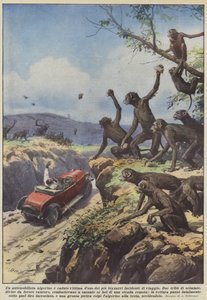 アルジェリアの運転手が最も奇妙な旅行事故の1つに犠牲になりました